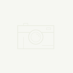 監(jiān)理員及監(jiān)理工程師