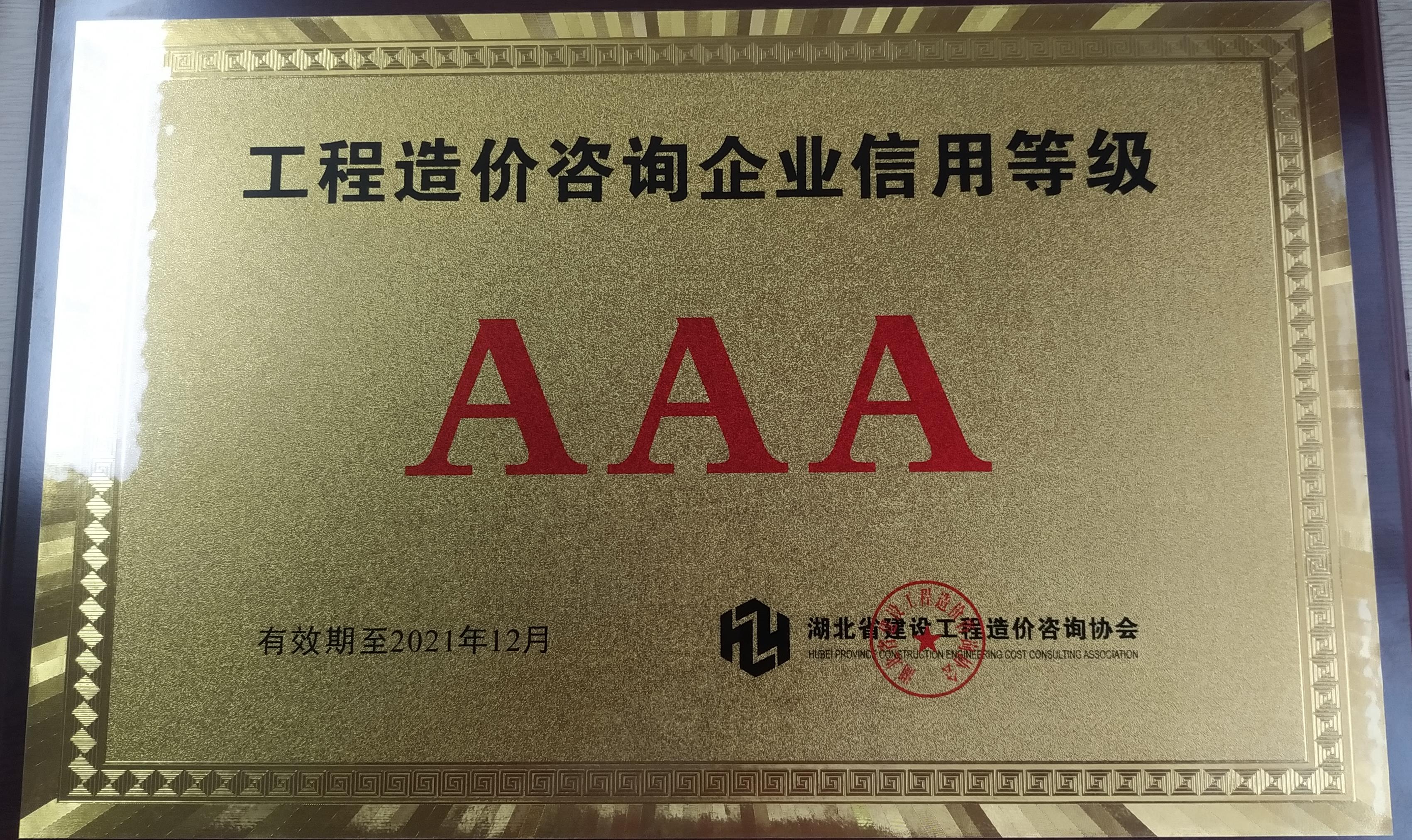 工程造價(jià)咨詢企業(yè)信用等級3A級